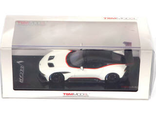 Lot 171 - TSM MODELS (2)