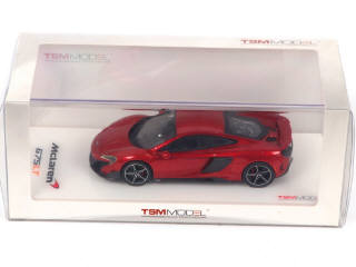 Lot 172 - TSM MODELS (2)