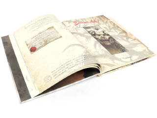 Lot 2 - DIVERS (2)