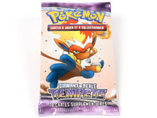 Lot 15 - POKEMON COMPANY (FRANCE) (1)