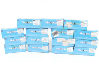 Lot 114 - NEW-RAY (CHINE) (15)