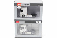WSI MODELS (PAYS -BAS) (2)