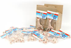 Lot 62 - VULLI (FRANCE) (1)