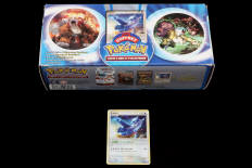 POKEMON COMPANY (FRANCE) (1)