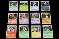 POKEMON COMPANY (FRANCE) (12)