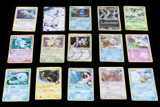 Lot 45 - POKEMON COMPANY (FRANCE) (15)