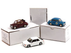 AUTOMANY & DAM TEAM T (3)