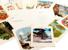 AIR FRANCE (21)
