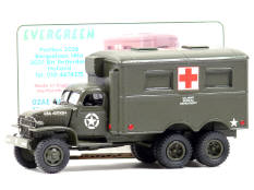 EVERGREEEN (PAYS-BAS) (1)