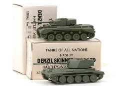 DENZIL SKINNER (GB) (2)