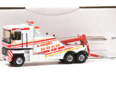 MINITRUCKS (FRANCE) (1)