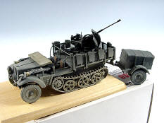 WESPE MODELS (ROUMANIE) (1)