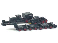 ASAM MODELS (GB) (3)