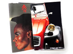 LE DOUBLE CHEVRON (FRANCE) (10)