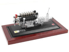 GMP (USA) (1)