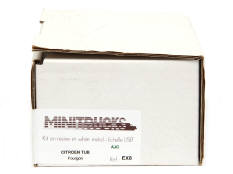 MINITRUCKS (FRANCE) (1)