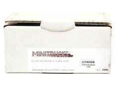 MINITRUCKS (FRANCE) (1)