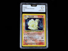 POKEMON COMPANY (USA) (1)