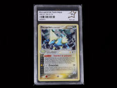POKEMON COMPANY (USA) (1)