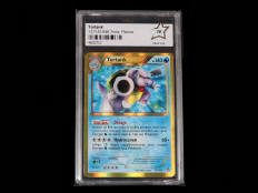 POKEMON COMPANY (USA) (1)