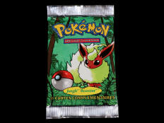 POKEMON COMPANY (USA) (1)