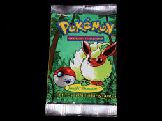 POKEMON COMPANY (USA) (1)