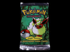 POKEMON COMPANY (USA) (1)