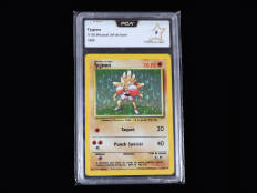 POKEMON COMPANY (FRANCE) (1)