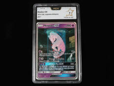 POKEMON COMPANY (FRANCE) (1)