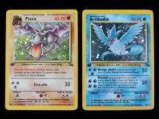 POKEMON COMPANY (FRANCE) (2)