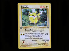 POKEMON COMPANY (FRANCE) (1)