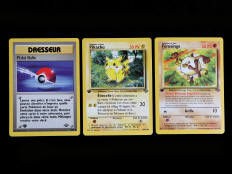 POKEMON COMPANY (FRANCE) (3)