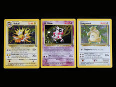 POKEMON COMPANY (FRANCE) (3)