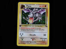 POKEMON COMPANY (FRANCE) (1)
