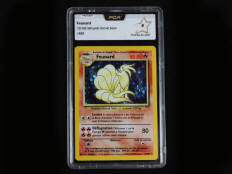 POKEMON COMPANY (FRANCE) (1)