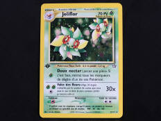 POKEMON COMPANY (FRANCE) (1)