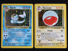 POKEMON COMPANY (FRANCE) (2)