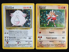 POKEMON COMPANY (FRANCE) (2)