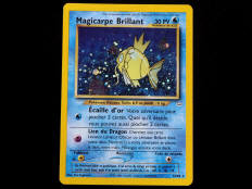 POKEMON COMPANY (FRANCE) (1)