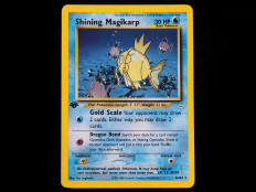 POKEMON COMPANY (USA) (1)