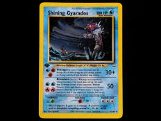 POKEMON COMPANY (USA) (1)