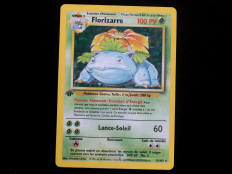 POKEMON COMPANY (FRANCE) (1)