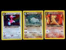 POKEMON COMPANY (FRANCE) (3)