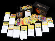 POKEMON COMPANY (FRANCE) (1)