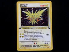 POKEMON COMPANY (FRANCE) (1)