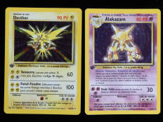POKEMON COMPANY (FRANCE) (2)