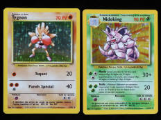 POKEMON COMPANY (FRANCE) (2)