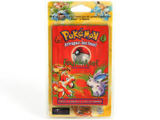POKEMON COMPANY (FRANCE) (1)