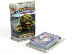 POKEMON COMPANY (FRANCE) (1)