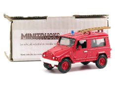 MINITRUCKS (FRANCE) (1)